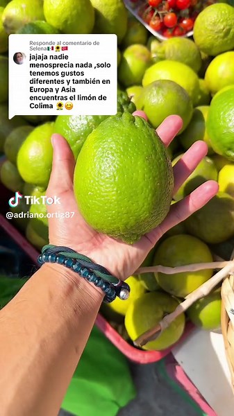 Limon Colimeño: Orgullo de Veracruz, México