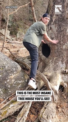 This tree house is like nothing you've ever seen 😲🫢 | GreatestHighlights