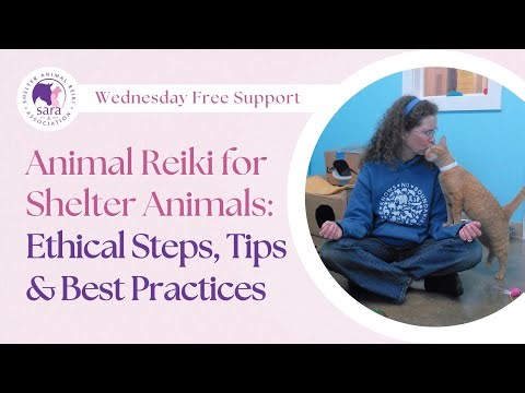 Animal Reiki for Shelter Animals: Ethical Steps, Tips & Best Practices