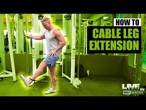 How To: Standing Cable Leg Extension
