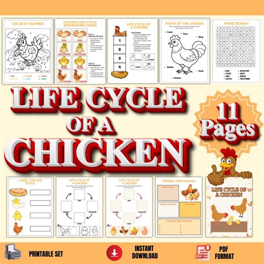 Chicken Life Cycle Worksheets – Sequencing Cards, Word Search, Color by Number Activities - Etsy