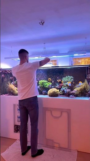 SATISFYING reef tank maintenance #aquarium #saltwateraquarium #fishtank #saltwaterfishtank