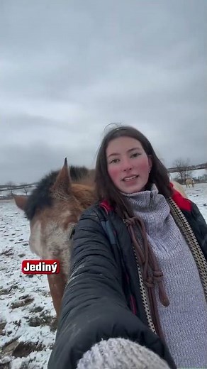 Co dělat, když mě kůň oždibuje/kouše?