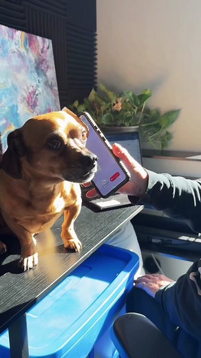 Lord Minion's Coffee: A Review & Business Insights