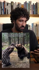 Make it make sense. | Seb Alex