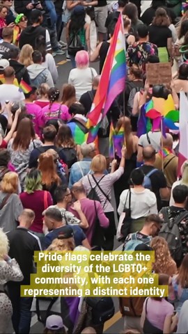 What different LGBTQ+ pride flags actually represent