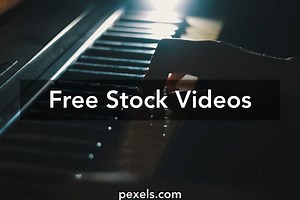 Instrumento Musical Videos, Download The BEST Free 4k Stock Video Footage & Instrumento Musical HD Video Clips