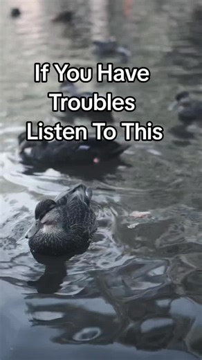 "Let troubles roll off your back like water off a duck's feathers. Jus...