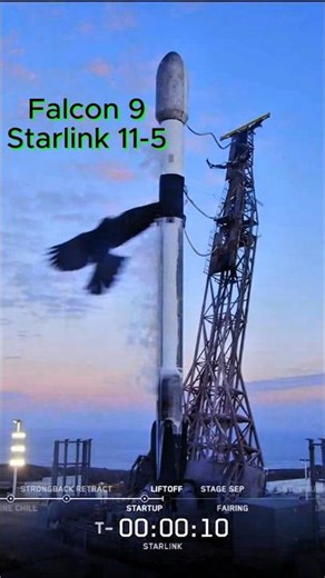 Falcon 9 Vandenberg Launch 22Oct2025 - Starlink 11-5 🚀