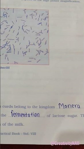 Class 8th Science Practical Book (Experiment No 1)