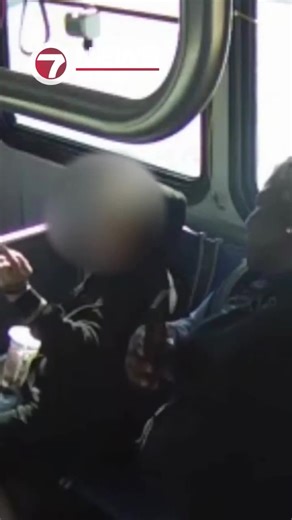 70-Year-Old Lady Brutally Assaulted on a Bus in Florida After Asking a Fat Thug to Stop Bumping Her