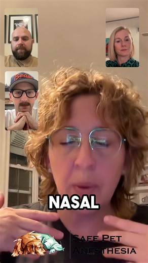 🤩 December 24th🚀 Veterinary and Human Anesthesia get back together.. Human anesthesiologist Dr. Mika Hamilton is back for SPECIAL EPISODE #4 of the Random Anesthesia Topic podcast!!🎤 We explore how human and veterinary teams approach pulmonary hypertension, the monitoring tools each relies on, and how availability, training, and patient factors shape real-world decision-making. Listen here: buff.ly/3Oi8WPM Watch here: https://buff.ly/3OBLXzD #VetLife #AnesthesiaTalk #VeterinaryAnesthesia #Ane