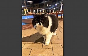 Cyrus's Late Night Pool Stroll | Cyrus