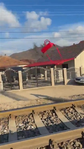 De plug Țiganu i a furat banii tigancii 😂😂 | Puterea Iubirii