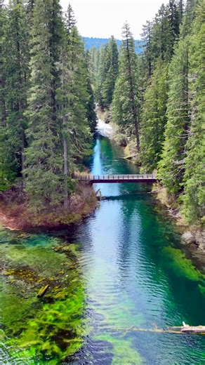 The journey begins high in the Cascades at Clear Lake, where cold spring water bubbles up from underground lava flows, feeding one of the clearest lakes in the world. Kayakers, paddleboarders, and anglers enjoy the icy waters here. From there the McKenzie River winds its way through old-growth forests, plunging over Sahalie Falls and Koosah Falls, where thundering cascades draw hikers and photographers to the trails that line their edges. Just below lies Carmen Reservoir, and soon after the rive