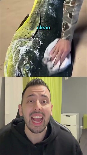 Γιατί ζωγραφίζει το χταπόδι;🦑 #shorts