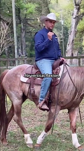 Snaffle bit vs leverage bit.