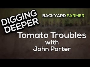 Digging Deeper: Tomato Troubles