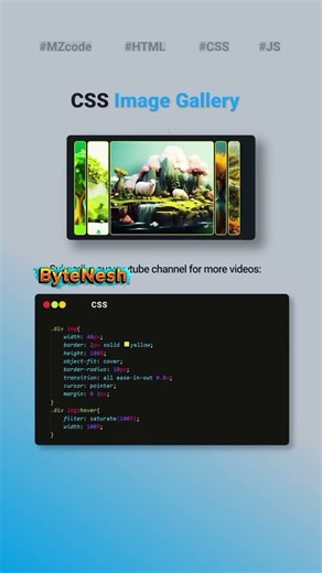 CSS Image gallery Animation using pure CSS 🎨 #CSSAnimation #WebDesign #HTMLCSS #Shorts