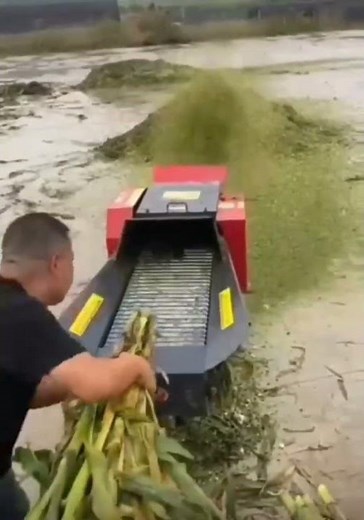 дробилка силёс