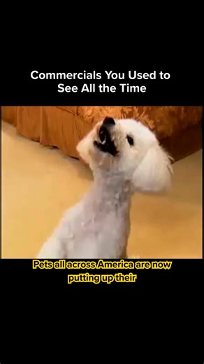 One for the pet lovers — the iconic Pedi Paws commercial! #nostalgicmoments#PetCare#infomercial | AsSeenOnTV.com | Facebook