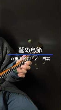 鷲ぬ鳥節 #三線 #沖縄