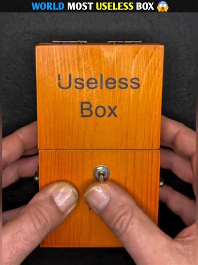 World's Most Useless Box 😱