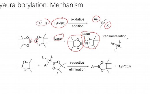 有机人名反应（176）：Miyaura borylation