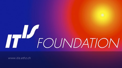 WHO WE ARE » IT'IS Foundation