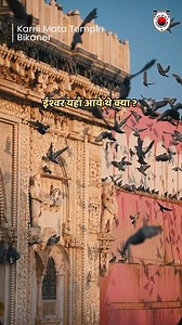 Karni Mata Temple of Deshnok stands as one of Rajasthan’s most unique spiritual destinations, where faith and tradition coexist in harmony. The temple invites devotees from across the world to experience a belief rooted deeply in devotion and living heritage Ministry of Tourism, Government of India Incredible India #KarniMataTemple #Deshnok #Bikaner #Rajasthan #RajasthanTourism #IncredibleRajasthanOfficial | Rajasthan Tourism