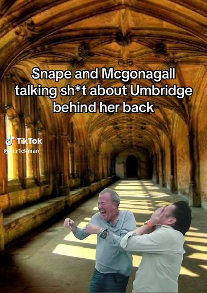They both be laughing in the staff room #severussnape#snapetok#mcgonagall#harrypotter#harrypottertiktok#hptiktok#harrypotteredit#alanrickman#fyp