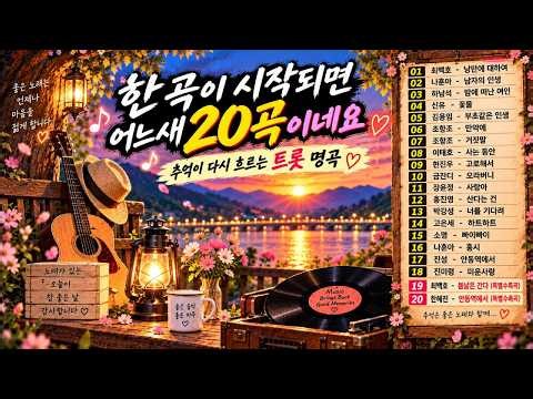 한 곡이 시작되면 어느새 20곡 🎵 주옥같은 트롯 명곡 모음 | 추억의 트로트 20곡 연속듣기 | 잠잘 때 듣는 노래