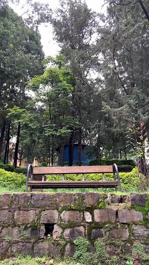 ምርጥ ፓርክ 🥰 ምትወዱትን ሰዉ tag አርጉት ❤️ 📍korean monument 📌 Afncho ber (use google maps 🗺️ #ethiopian_tik_tok #viral #foryou #reviewaddis