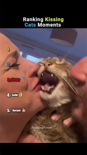 Ranking UNHINGED Kissing Cats Moments #funnycats #shorts #funny