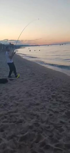 #pefkochori #greece #albania O mico me to kallemi 😂