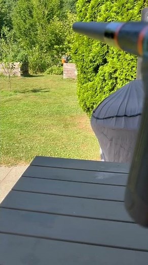 Planet Eclipse CS2- Infamous shooting