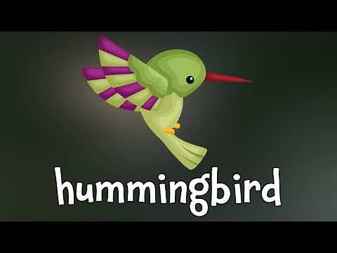 Birds! Learn about Birds