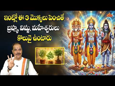 ఈ 3 మొక్కలు ఇంట్లో ఉంటే త్రిమూర్తుల ఆశీర్వాదంతో ధనవర్షం కురుస్తుంది | Dharma Sandehalu | BhaktiOne
