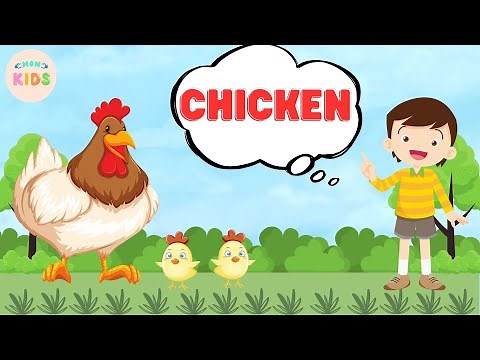 Chicken Facts For Kids 🐔 Learn All About Chickens | MON Kids