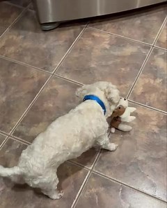 27K views · 2K reactions | Jana ❤️ Look who’s playing! Less than a...