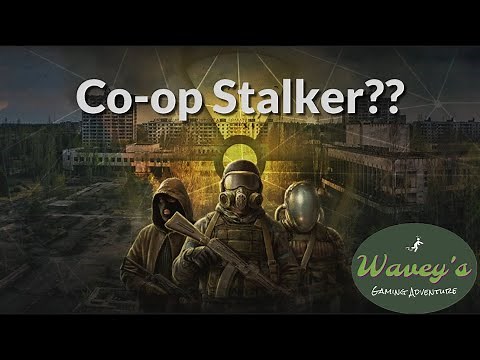 Co-op STALKER is pure shenanigans