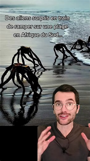 Araignées de mer géantes : Mythe ou Réalité ?