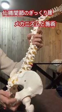 ぎっくり腰のメカニズムと施術#ぎっくり腰 #仙腸関節 #腰痛