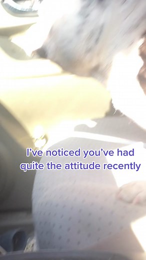 2 Sided Cowboy #dogs #splitpersonality #goodboy