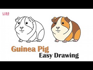 How to Draw a Cute Guinea Pig Easy Drawing for Kids and Beginners #lidoartworks