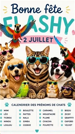 Bonne fête Flashy 2 juillet dans le calendrier des fêtes des chats #coeurdefou