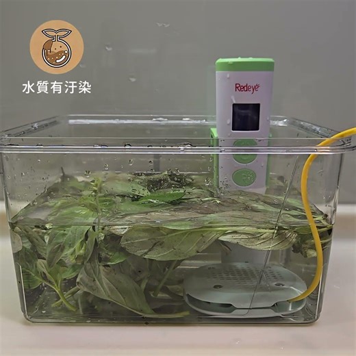 Mooz魔氧蔬果清潔