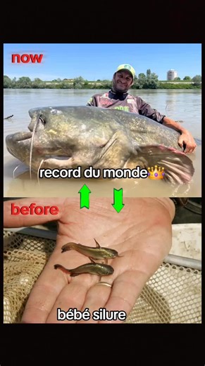 World Record Fish: A Stunning Discovery in Nature