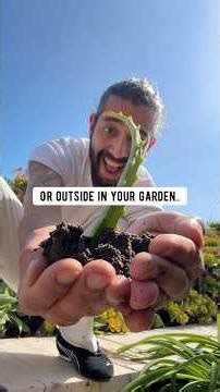 Cloning aloe leaf | creative explained