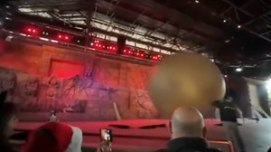Indiana Jones stunt show boulder hits cast member during Disney performance